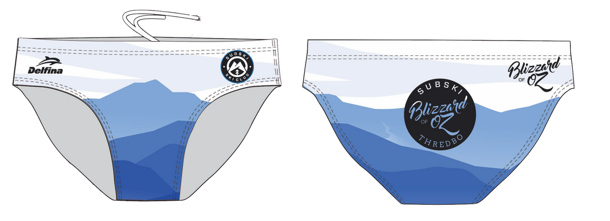 Blizzard of Oz Men's Swim Briefs