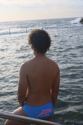 Summer Hues Brief