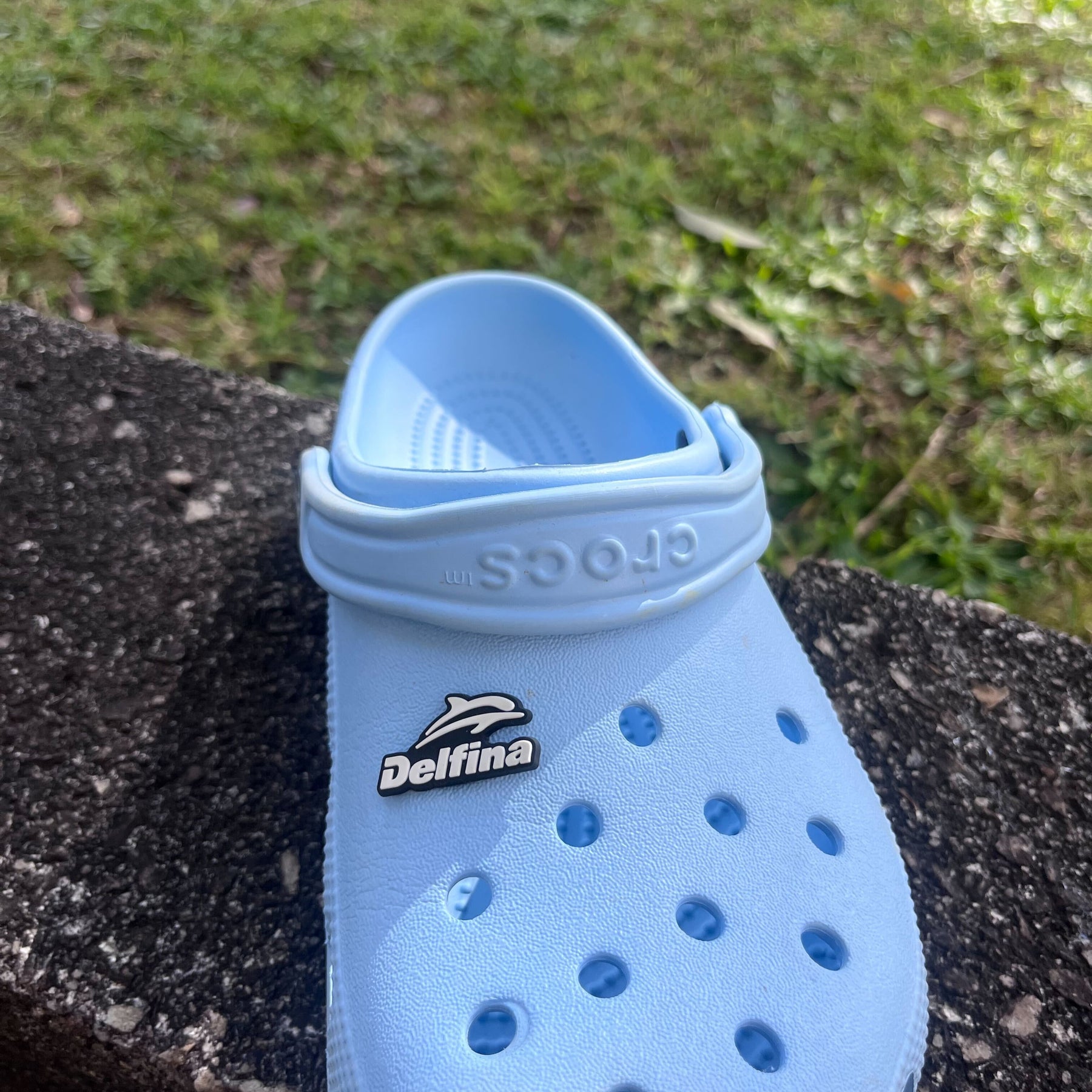 Delfina Croc Jibbit - Main Image