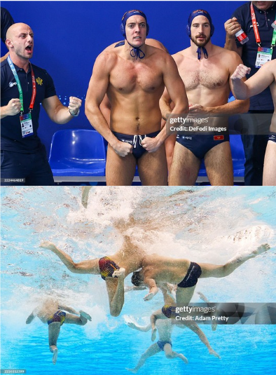 Official Montenegro Briefs