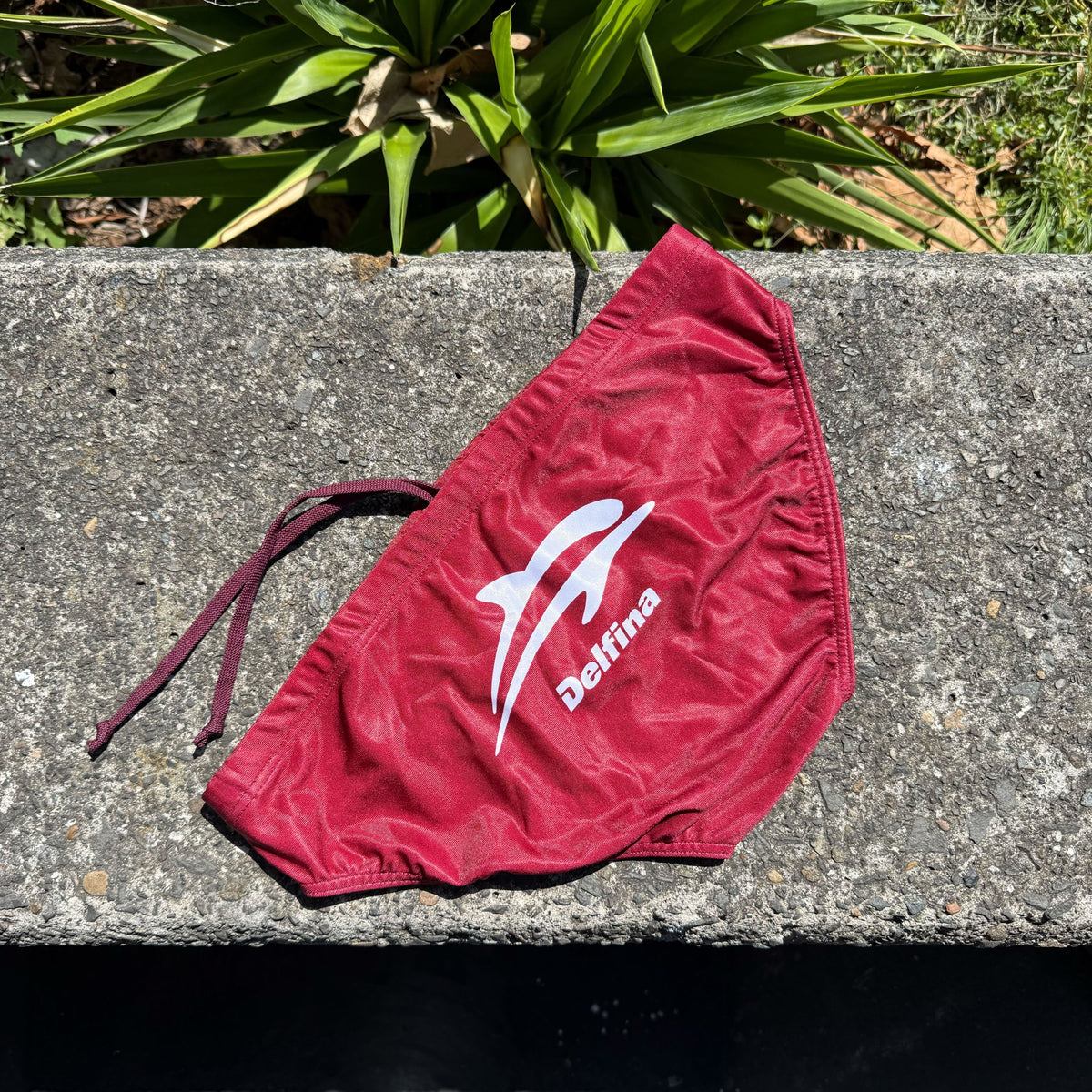 Maroon Brief