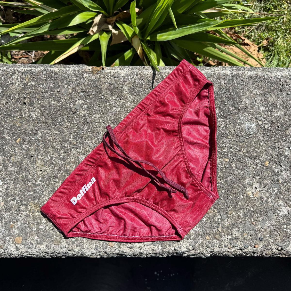 Maroon Brief