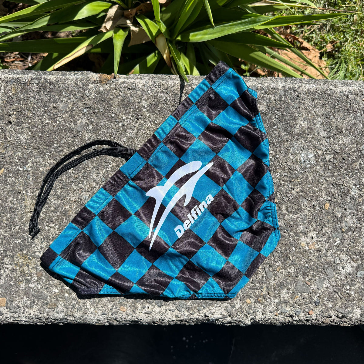 Distorted Check Brief