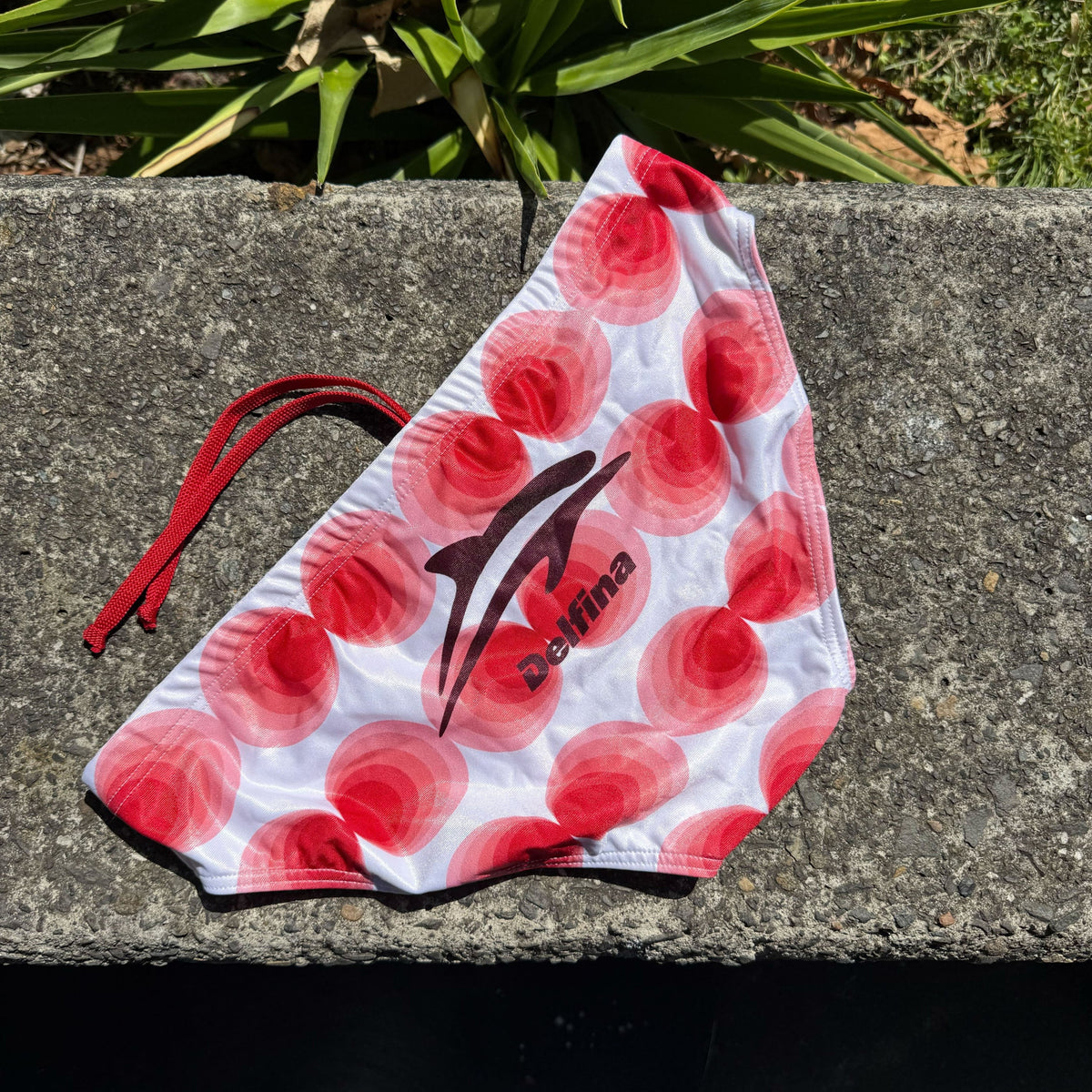 Summer Circles Brief