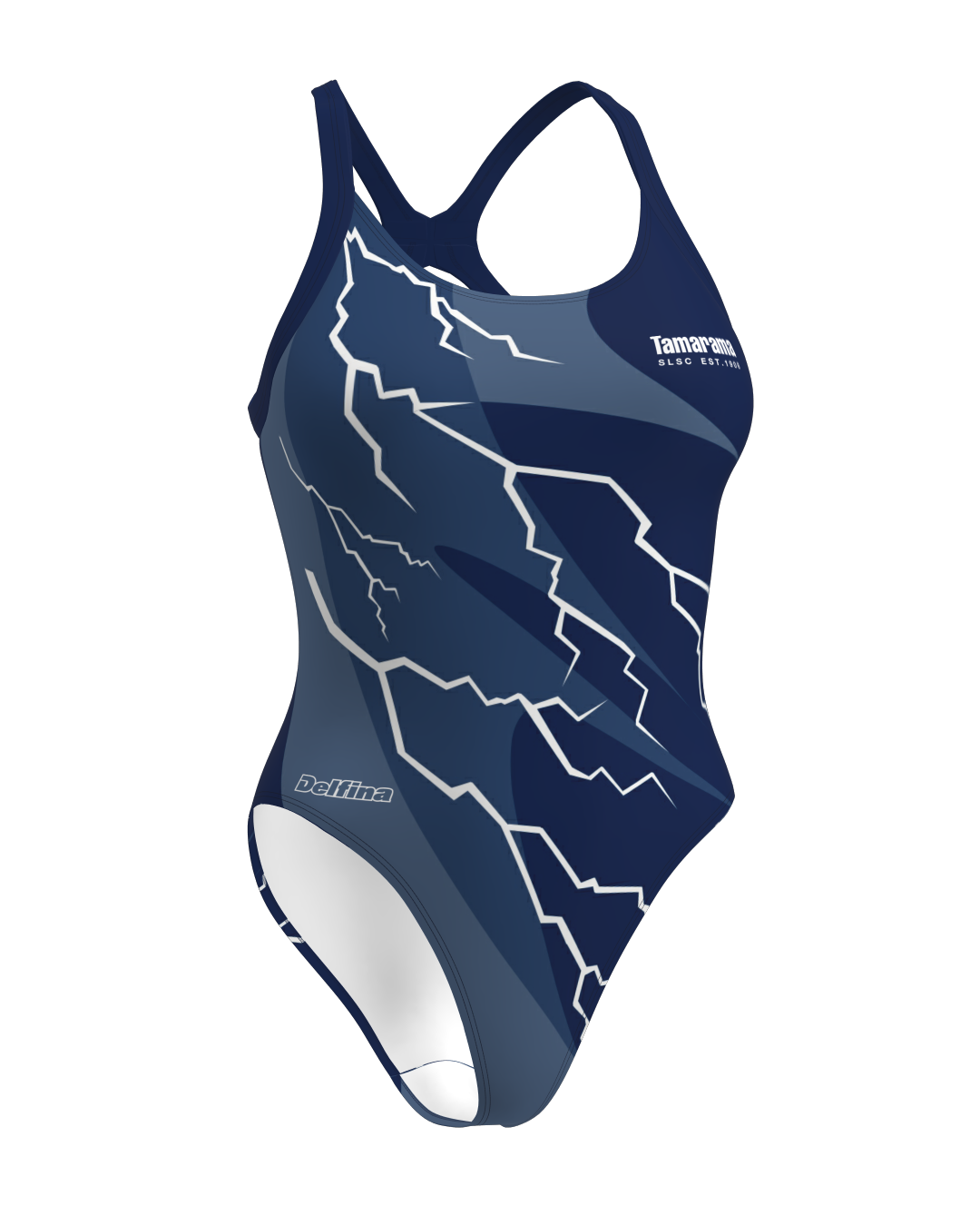 Tamarama Bronte Cut One Piece  Swimsuit