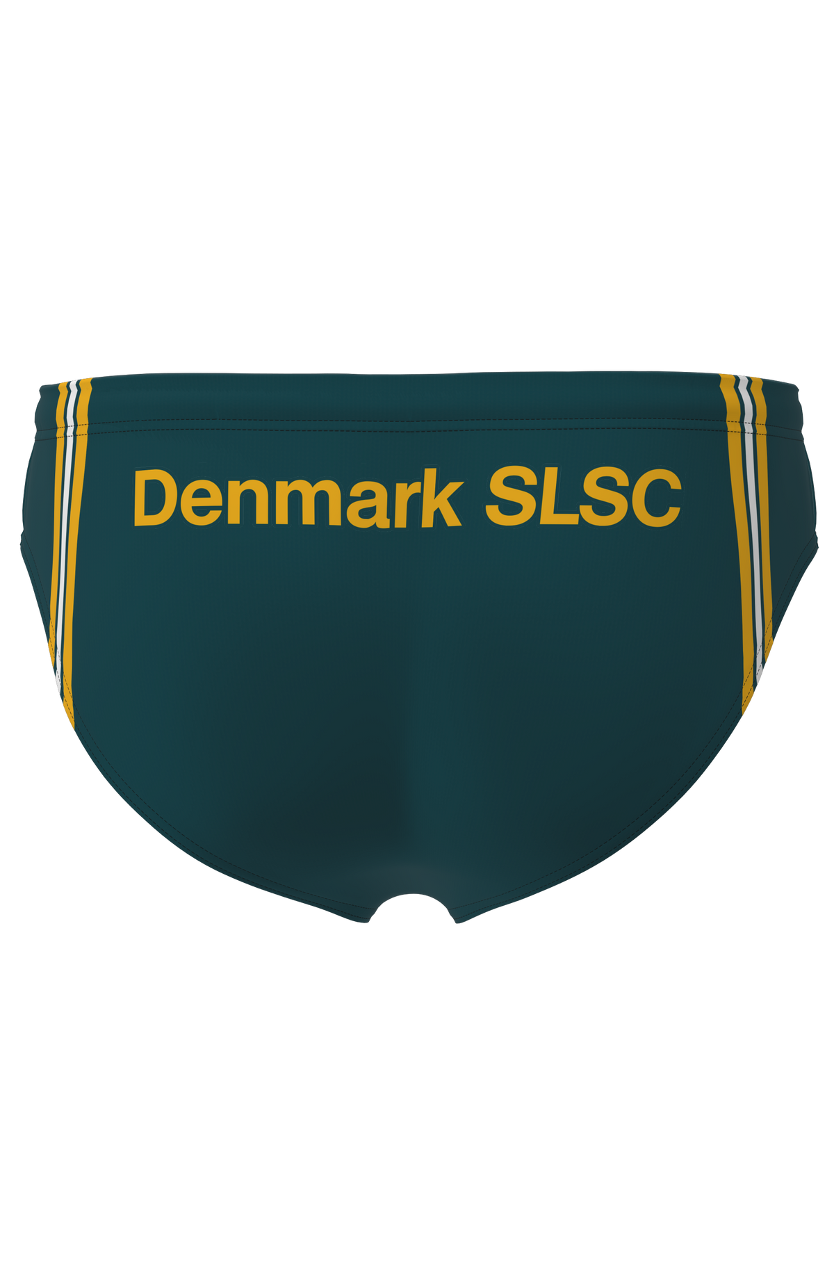 Denmark SLSC Brief