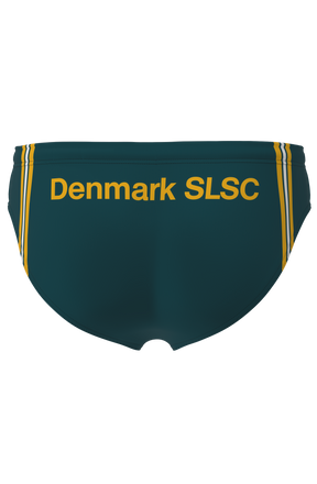 Denmark SLSC Brief