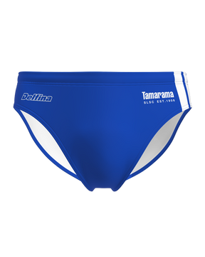 Tamarama Brief Swimsuit