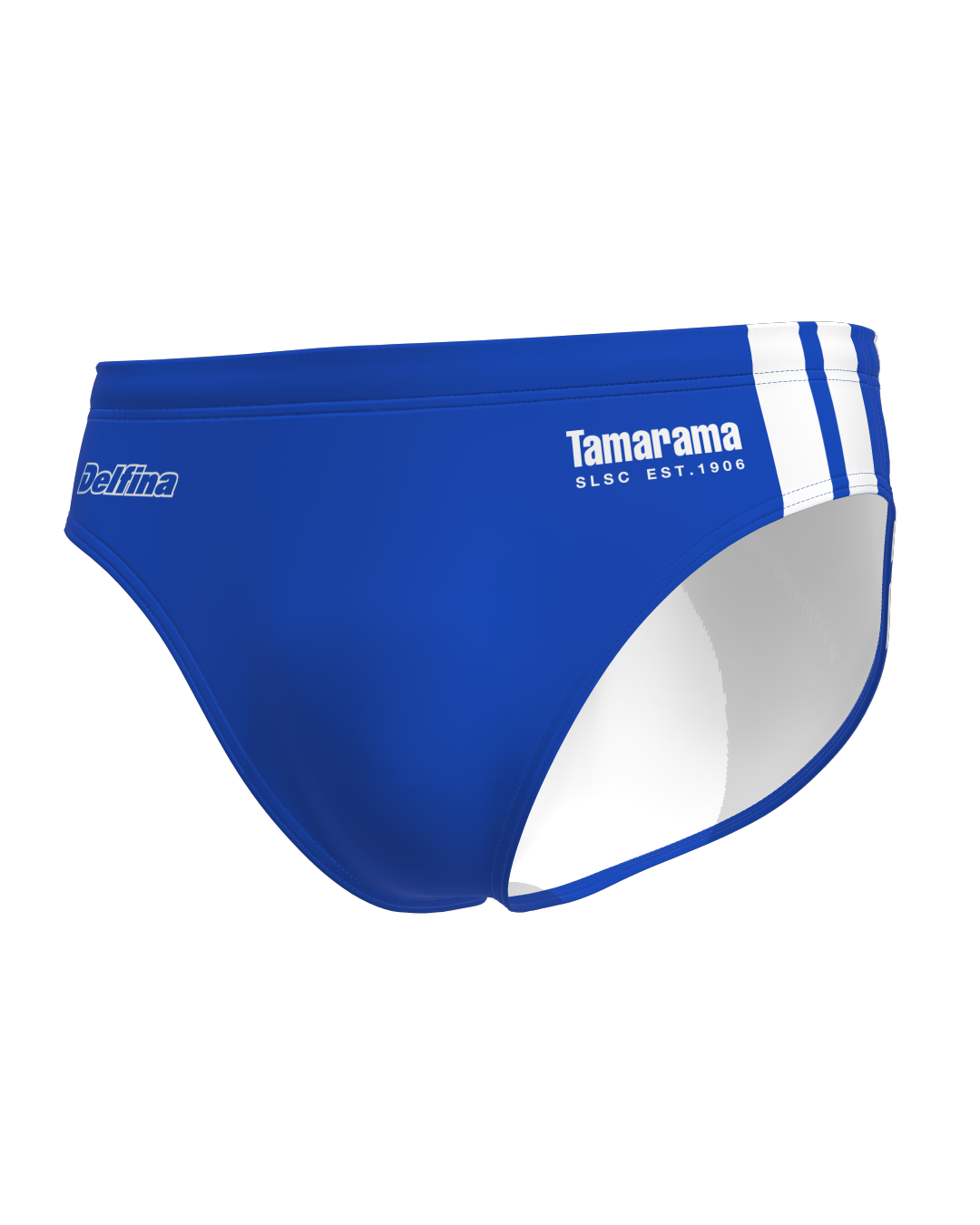 Tamarama Brief Swimsuit