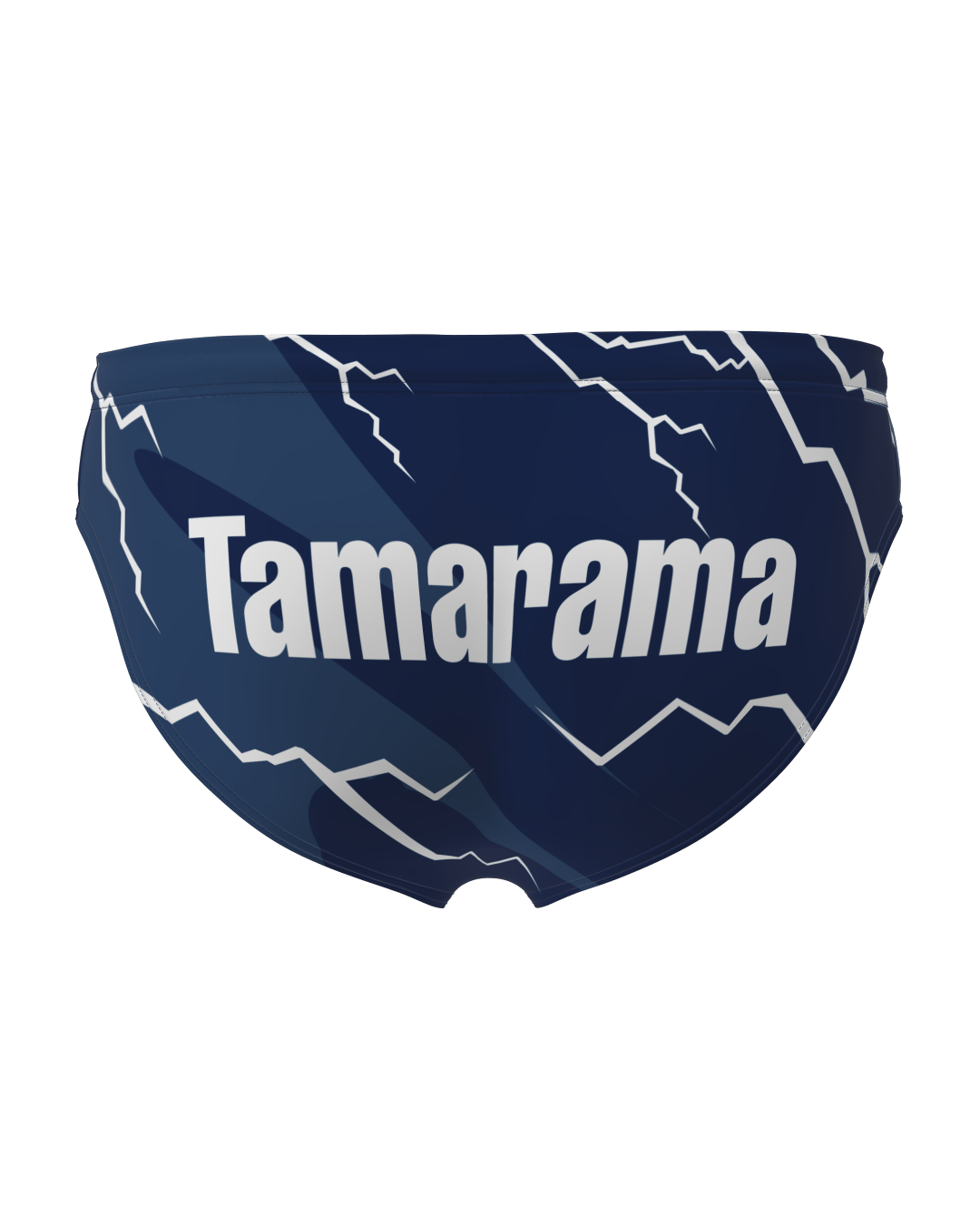 Tamarama Brief Swimsuit