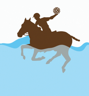 Polo Water Polo Brief