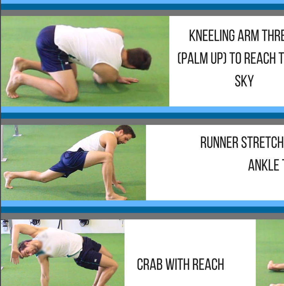 FREE Mobility + Foam Roller Exercise Sheets